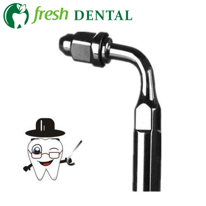 10PCS E2 Tips 95 Angle DENTAL  - Dental Ultrasonic Scaler 评论和价格
