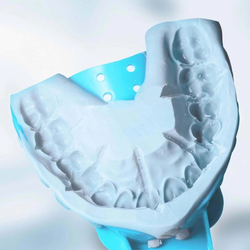 FULAIGE 6Pcs/Set Disposable De - Dental Impression Material Kit 评论和价格