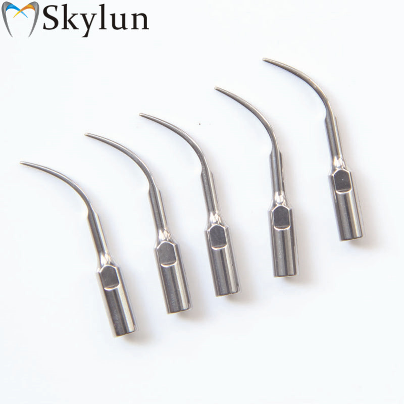 5PCS Dental Ultrasonic Scaler  - Dental Ultrasonic Scaler 评论和价格