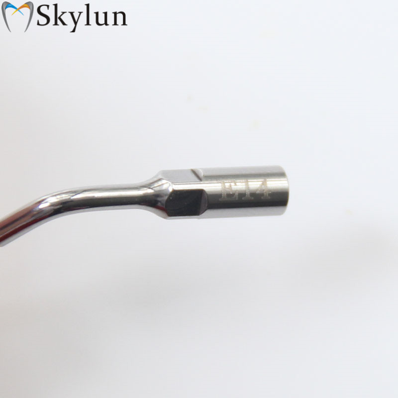 5PCS Dental Ultrasonic Scaler  - Dental Ultrasonic Scaler 评论和价格