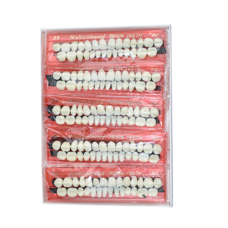28 Teeth Dental Resin Denture  - Dental 3D Printer Resin 评论和价格