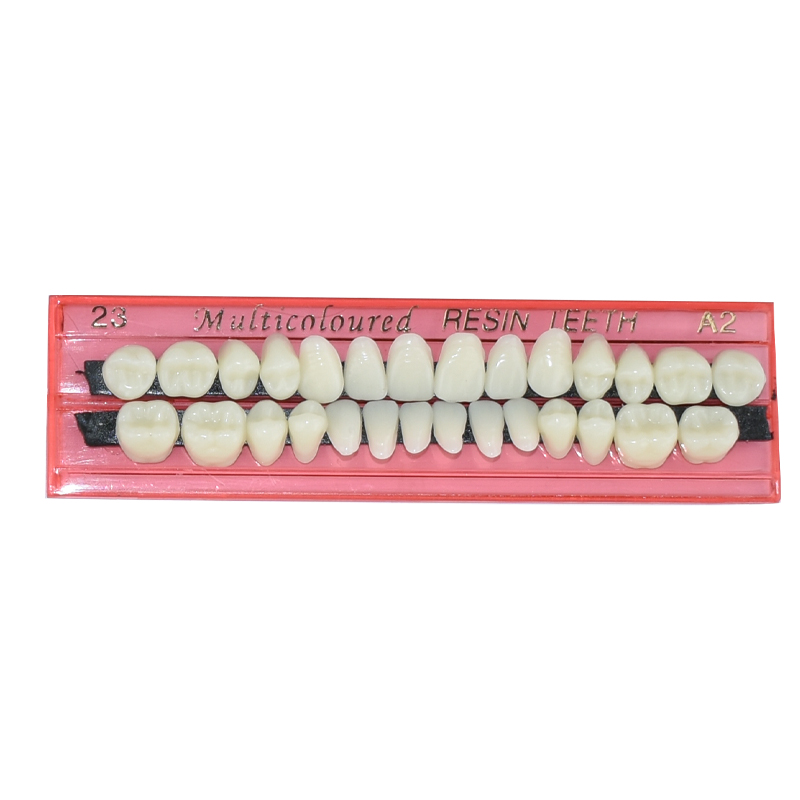 28 Teeth Dental Resin Denture  - Dental 3D Printer Resin 评论和价格