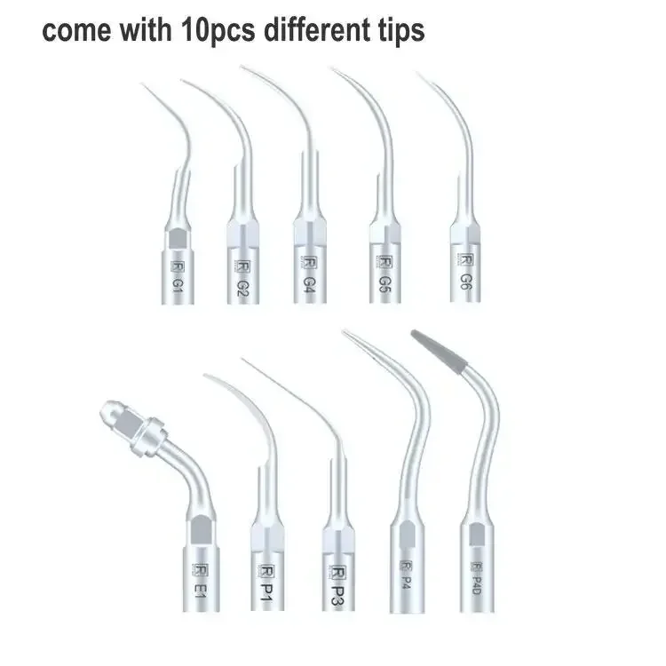 2025 LED Handpiece Pet Hospita - Dental Ultrasonic Scaler 评论和价格