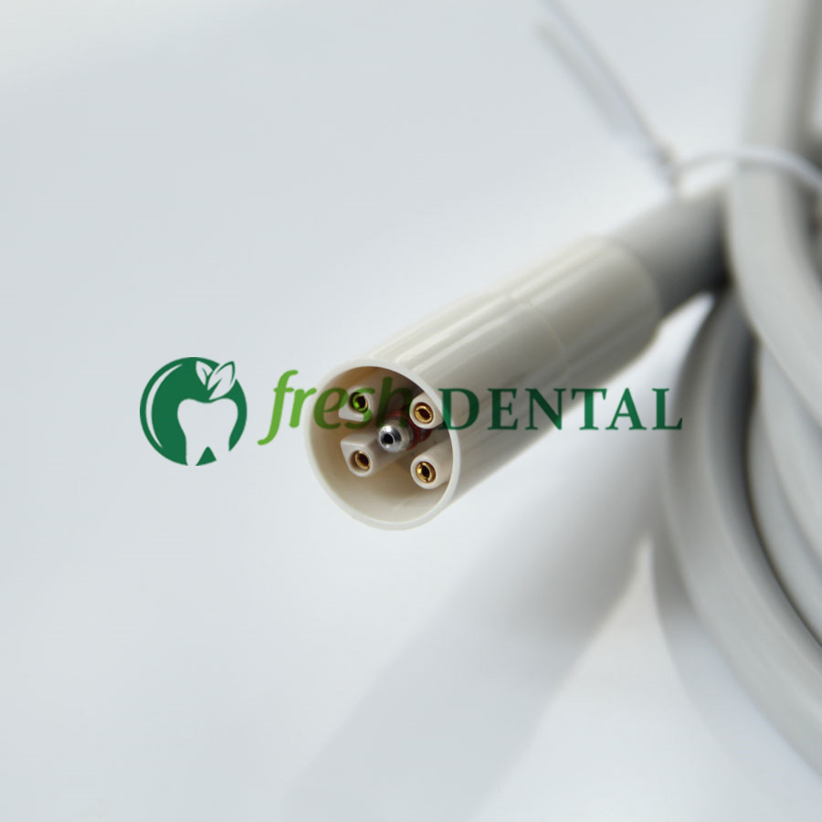 Dental Ultrasonic Scaler Handl - Dental Ultrasonic Scaler 评论和价格