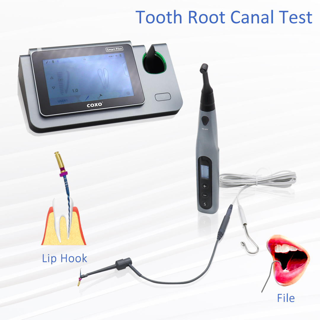 COXO Smart Endo Motor C-SMART  - Dental Endo Motor Apex Locator 评论和价格