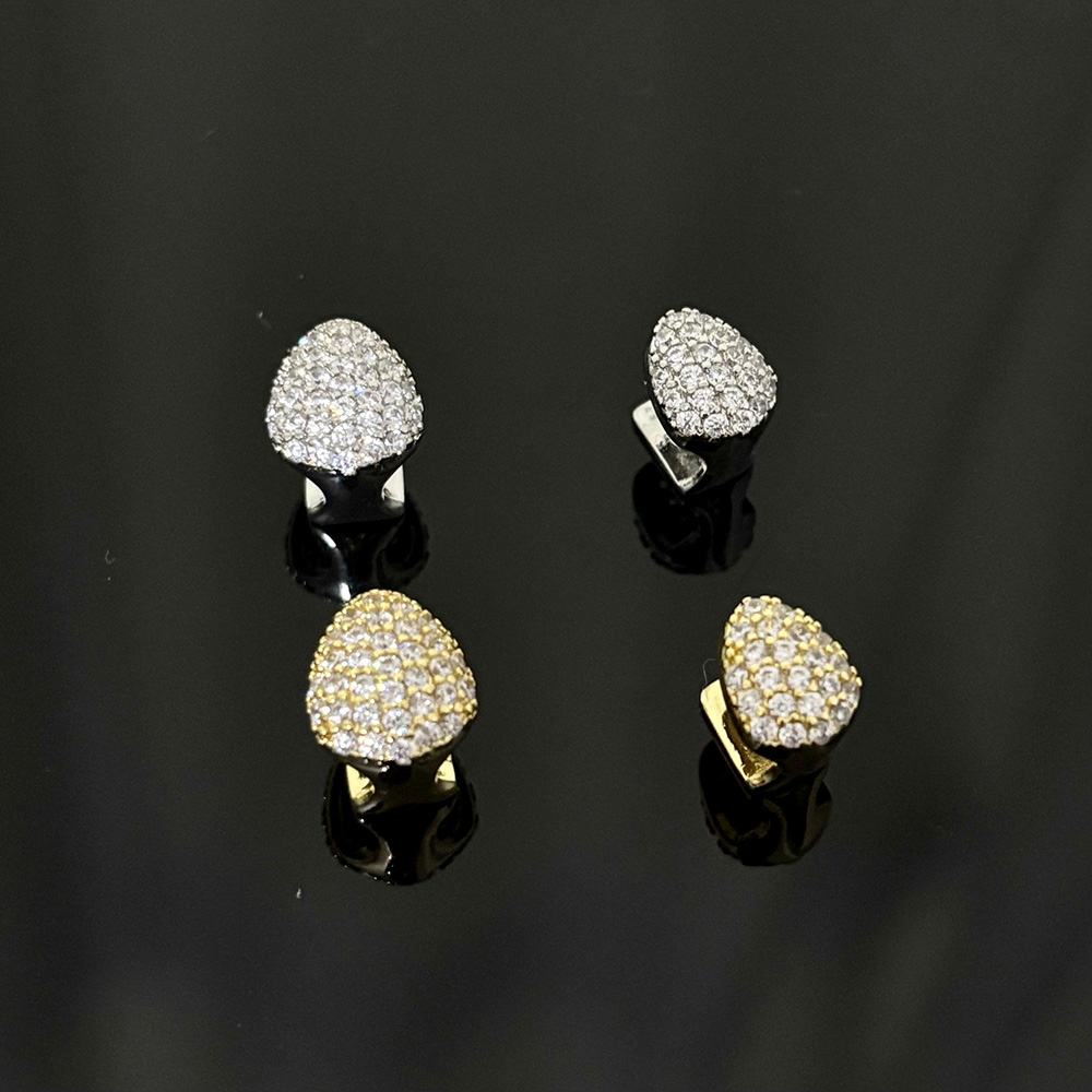 RACHELZ Single Full Iced Out C - Dental Zirconia Sintering Furnace 评论和价格