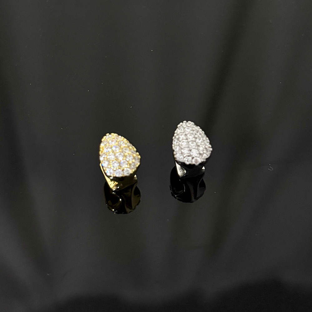 RACHELZ Single Full Iced Out C - Dental Zirconia Sintering Furnace 评论和价格