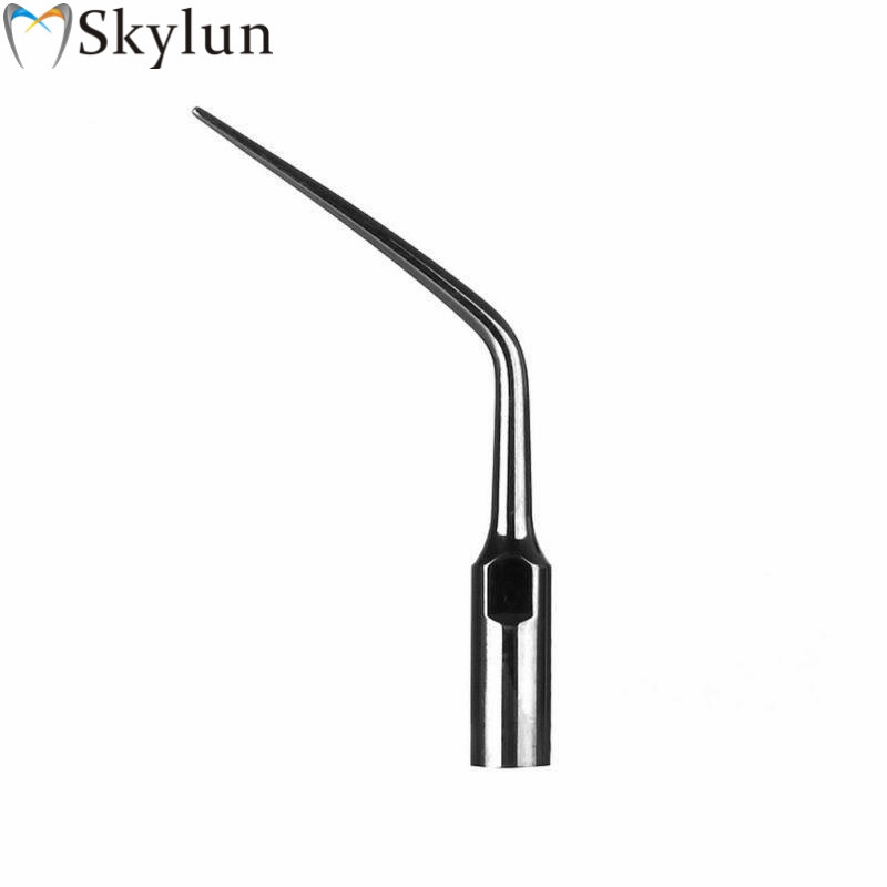 5PCS Dental Ultrasonic Scaler  - Dental Ultrasonic Scaler 评论和价格