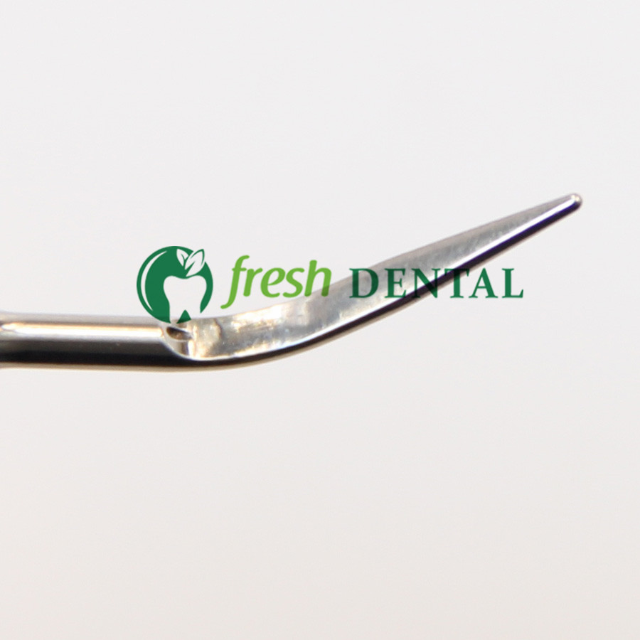 5PCS Dental Ultrasonic Scaler  - Dental Ultrasonic Scaler 评论和价格