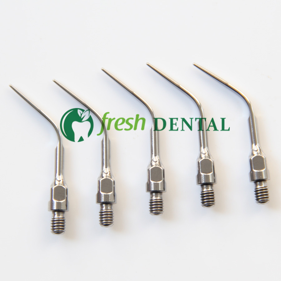 5PCS Dental Ultrasonic Scaler  - Dental Ultrasonic Scaler 评论和价格